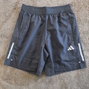 Adidas Men's Gray Shorts